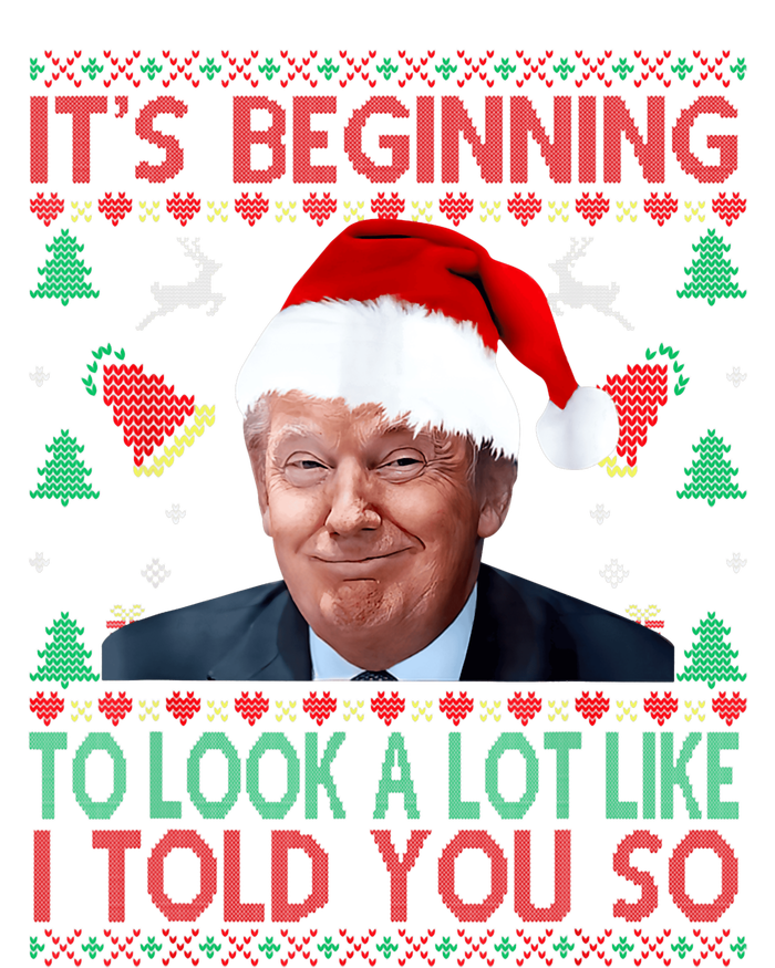 ItS Beginning To Look A Lot Like I Told You So Trump Xma Premium Hoodie