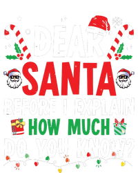 Dear Santa I Can Explain Funny Christmas Women's Pullover Hoodie