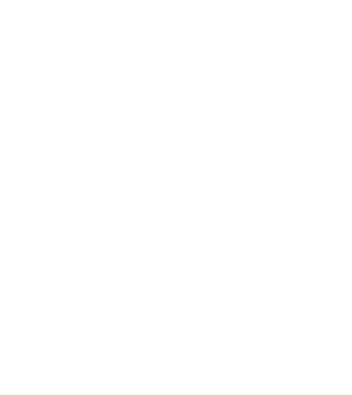 Le Tits Now Let It Snow Funny Christmas Winter Xmas Wordplay Funny Gift Premium T-Shirt