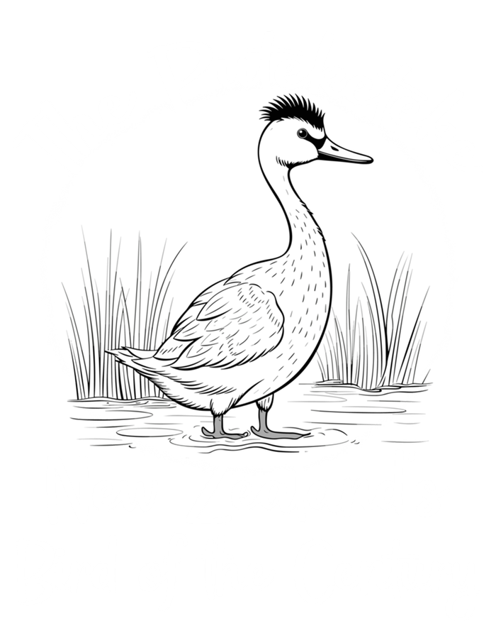 New ZealandS Bird Of The Century The Puteketeke Birder T-Shirt