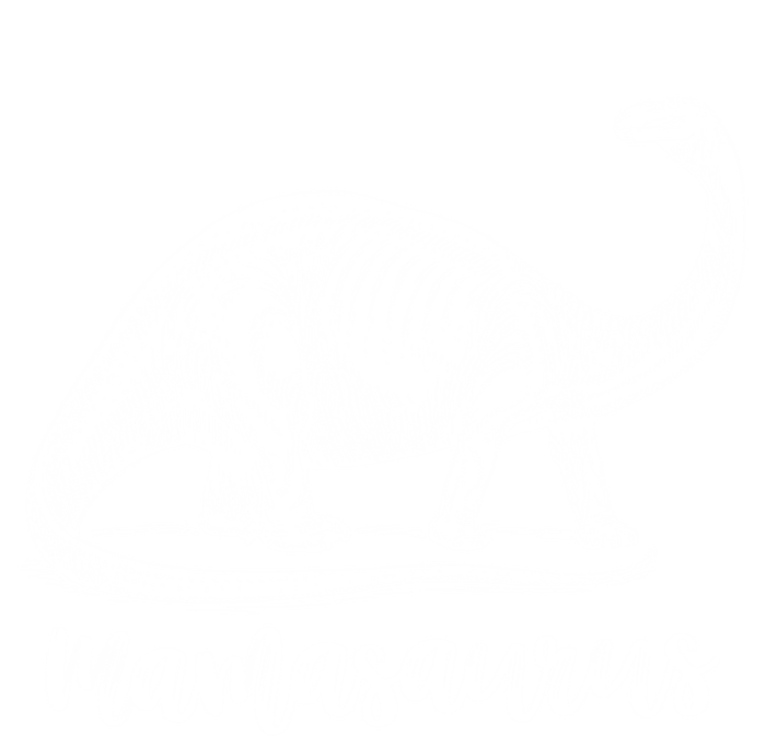 Mamasaurus T Rex Dinosaur Funny Mama Saurus Family Matching Cool Gift T-Shirt