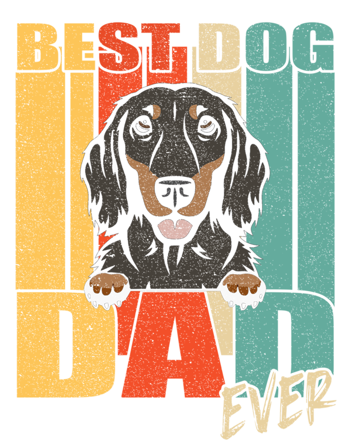 Best Dog Dad Ever Black And Tan Longhaired Dachshund Lover Meaningful Gift T-Shirt