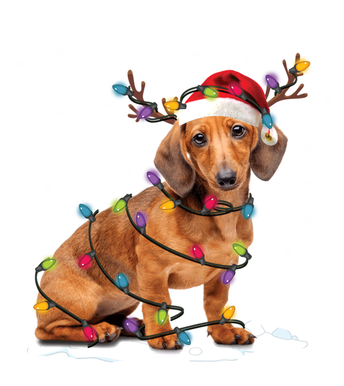 Dachshund Dogs Tree Christmas Sweater Xmas For Pet Dog Meaningful Gift T-Shirt