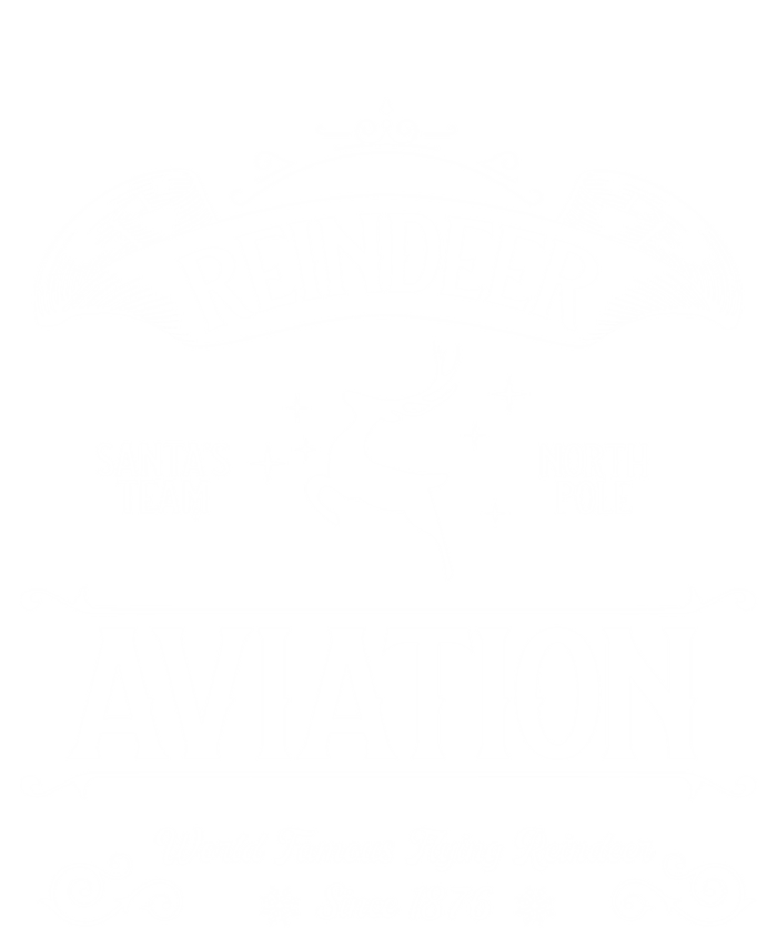 Reindeer Aviation Funny Christmas Santa Claus And Sleigh Gift T-Shirt