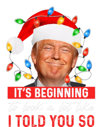 It's Beginning To Look A Lot Like I Told You So Trump Xmas  Hoodie