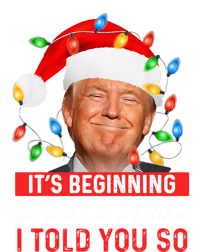 It's Beginning To Look A Lot Like I Told You So Trump Xmas  Hoodie