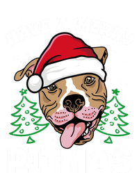 Have A Merry Pitmas Dog Owner Pitbull Dog Christmas Day Meaningful Gift Kids Long Sleeve Shirt