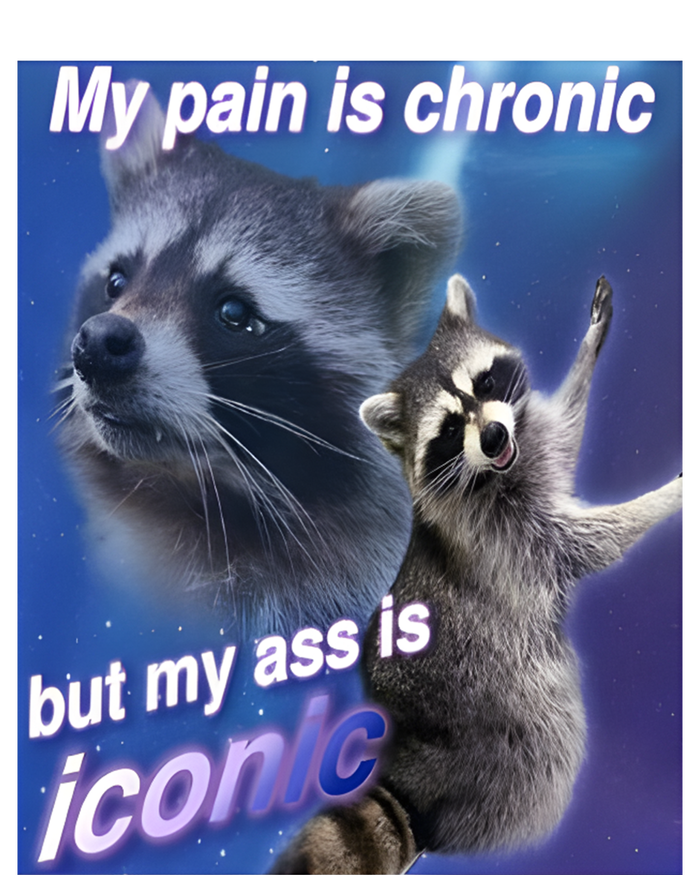 My Pain Is Chronic But My Ass Is Iconic Funny Raccoon Meme T-Shirt