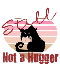 Valentine Angry Cat Still Not A Hugger No Hugs Please T-Shirt