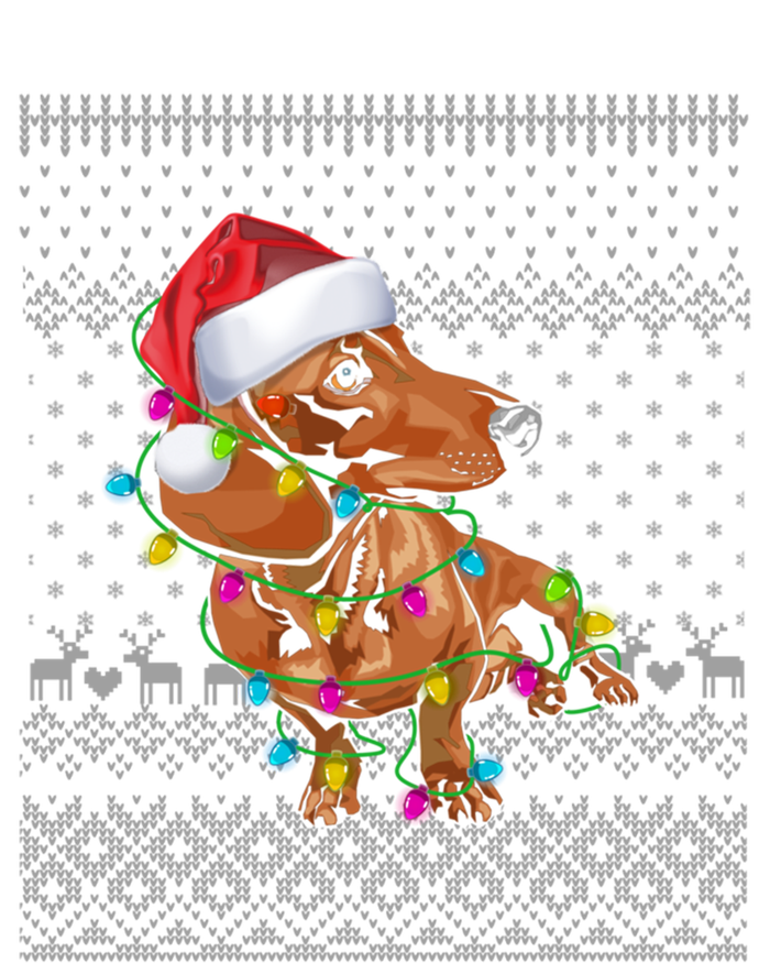 Ugly Sweater Christmas Lights Dachshund Dog Puppy Lover Gift Tall Long Sleeve T-Shirt