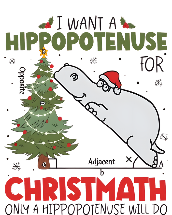 I Want A Hippopotenuse For Christmath Only A Hippopotenuse Will Do Valucap Bio-Washed Visor