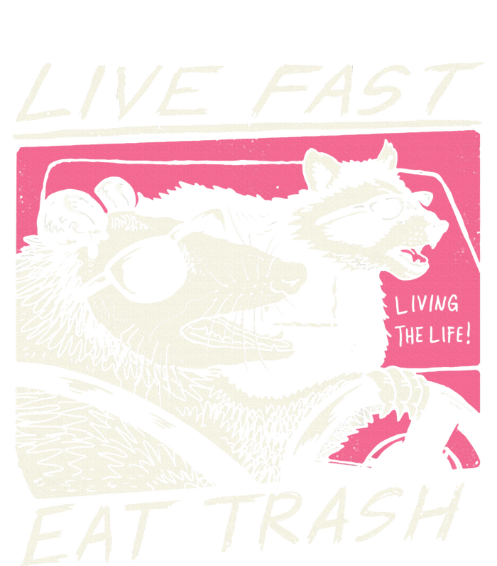 Live Fast Eat Trash And Get Hit By A Car Sunset Raccoon Women’s Perfect Tri Rocker Tank