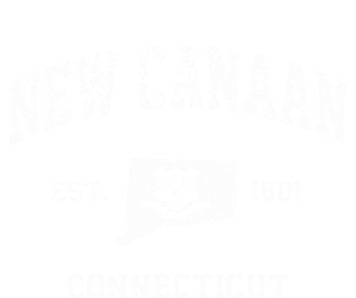 New Canaan Connecticut CT vintage state Athletic style Women's V-Neck T-Shirt