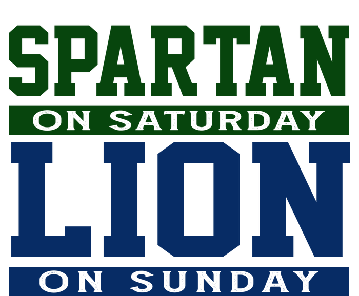 Spartan On Saturday Lion On Sunday Funny Detroit Wool Snapback Cap