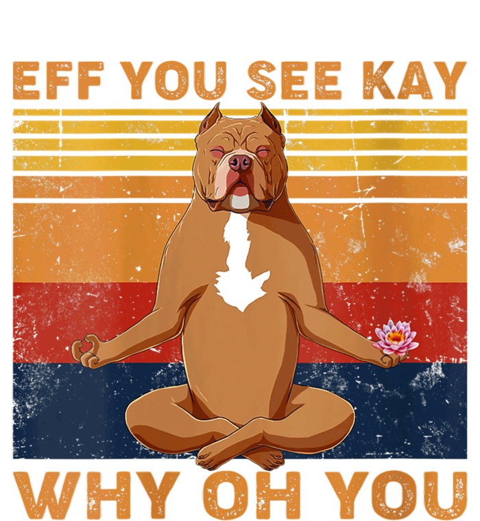 S Eff You See Kay Why Oh You Funny Pitbull Dog Yoga Vintage V Neck Women's Pullover Hoodie