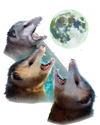 Three Opposum Moon With 3 Possums And Dead Moon Costume T-Shirt