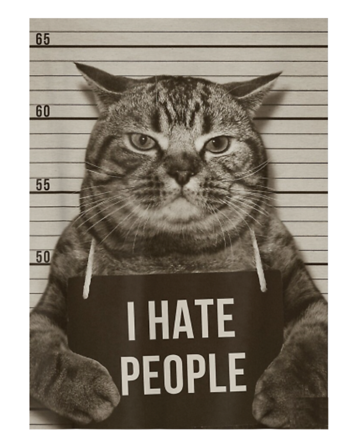 Funny Cat Police Mugshot I Hate People Womens California Wash Sweatshirt