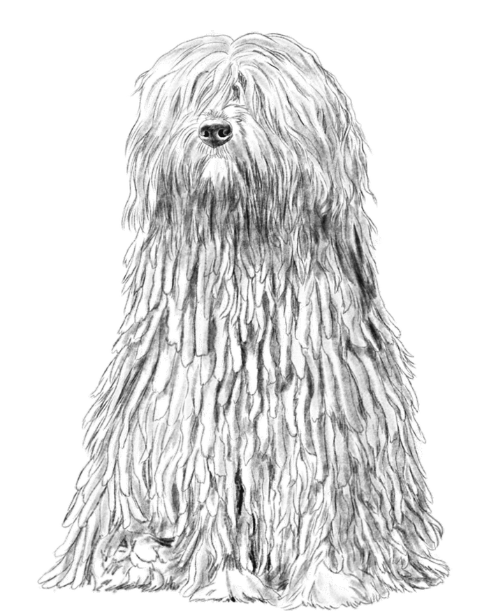 Sitting Dog Bergamasco Sheepdog PosiCharge Competitor Tank