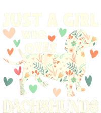 Cute Floral Dachshund Dog Just A Girl Who Loves Dachshunds Gift Striped Beanie with Solid Band