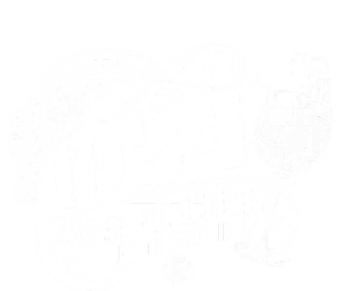 Born In 1924 100th Birthday Aging Like Fine Wine T-Shirt