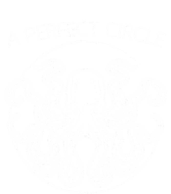 Perfect Circle Octopus Pi Day T-Shirt