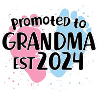 Cute Promoted To Grandma Est 2024 T-Shirt