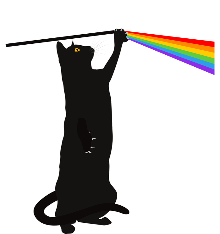 Funny Dark Side Of The Cat T-Shirt