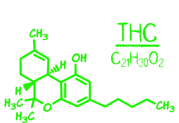 Cannabis Molecule Sustainable Beanie