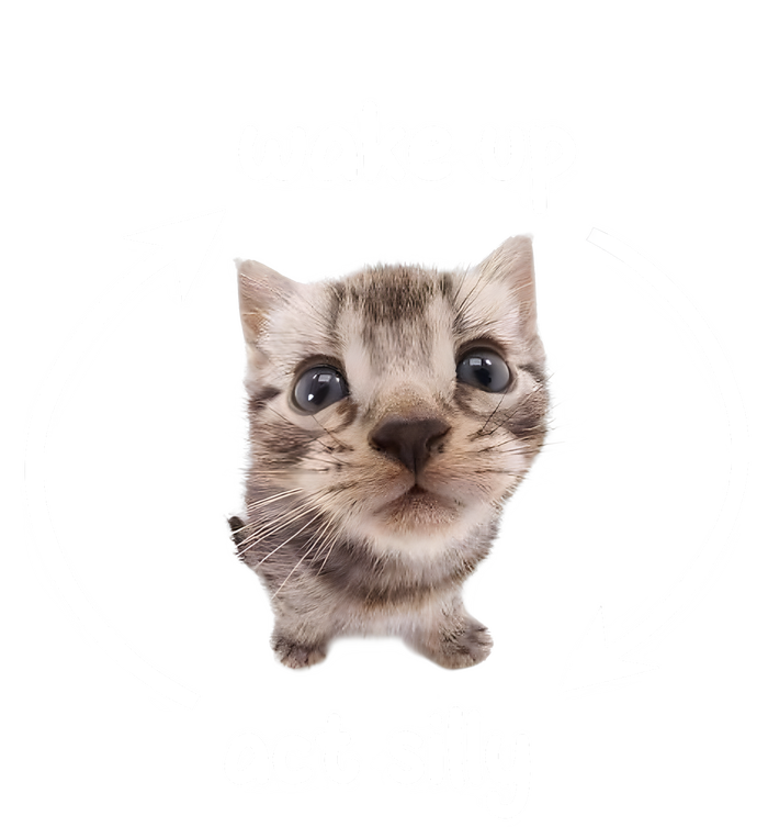 Wake Up Act Silly Cat Wake Up Act Silly Cat Women Women’s Perfect Tri Rocker Tank