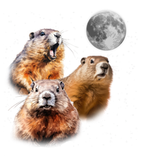 Groundhog Head Moon Funny Groundhog Day T-Shirt