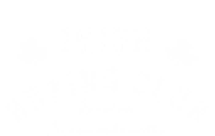 Irish Boxing Club Boston Massachusetts Meaningful Gift Shamrock Great Gift Performance Fleece Hoodie