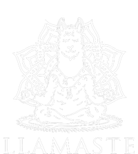 Llamaste Funny Women's Crop Top Tee