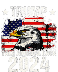 Trump 2024 flag take America back Trump 2024 Hoodie