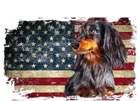 Dachshund USA Flag Patriotic Dog Lovers 4th Of July Women's T-Shirt