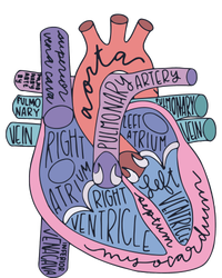 Anatomy Cardiologist Anatomical Heart Doggie Tank