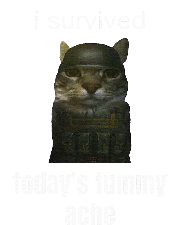 Funny I Survived TodayS Tummy Ache T-Shirt