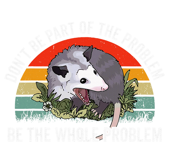 Possum DonT Be Part Of The Problem Be The Whole Problem Women's Tri-Blend 3/4-Sleeve Raglan Shirt