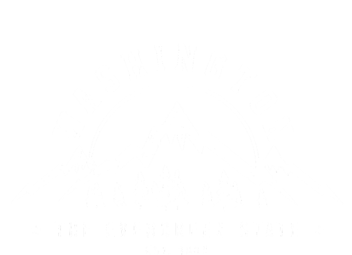 Washington The Evergreen State Nature Mountains Outdoor Gift Hoodie Wool Snapback Cap