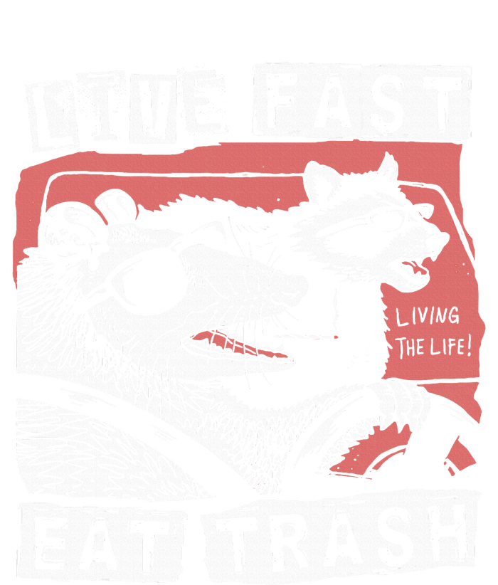 Funny Possum Raccoon Live Fast Eat Trash T-Shirt