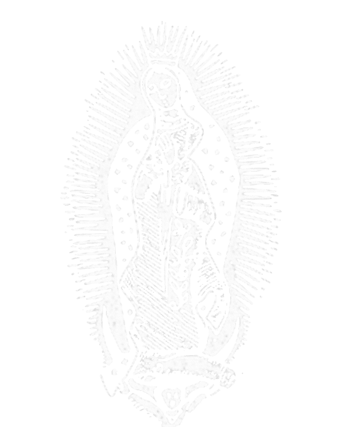 Our Lady Of Guadalupe Virgin Mary Mother Of Jesus T-Shirt