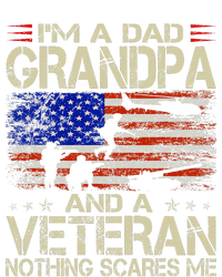 IM A Dad Grandpa And Veteran Funny Retro Papa Grandpa Tall Hoodie