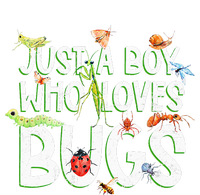 Funny Insect Just A Boy Who Loves Bug Insulated Varsity Jacket