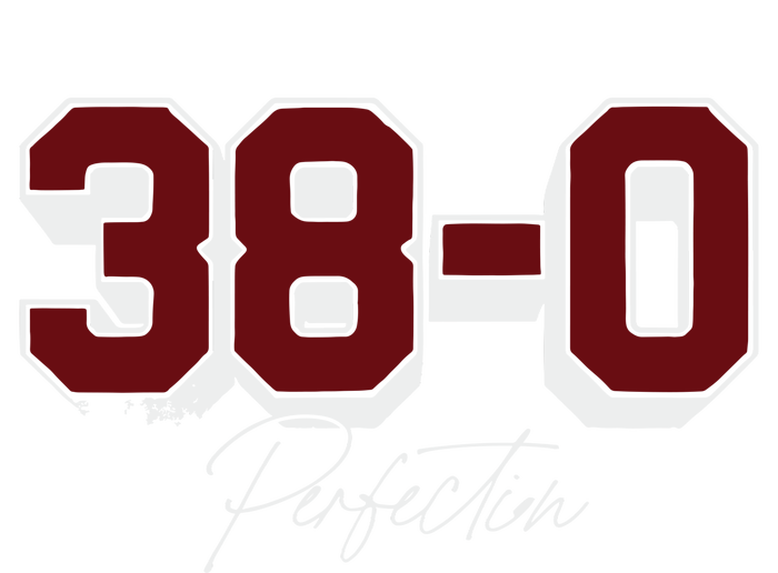 Gamecock 380 Perfection T-Shirt