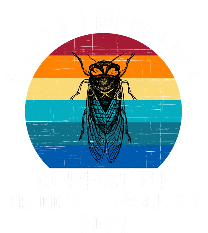 Cicada Emergence Convergence Brood Xiii Brood Xix 2024 Premium Hoodie