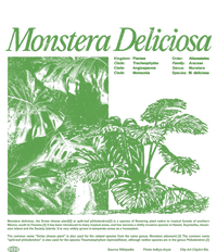 Monstera Deliciosa Premium Crewneck Sweatshirt