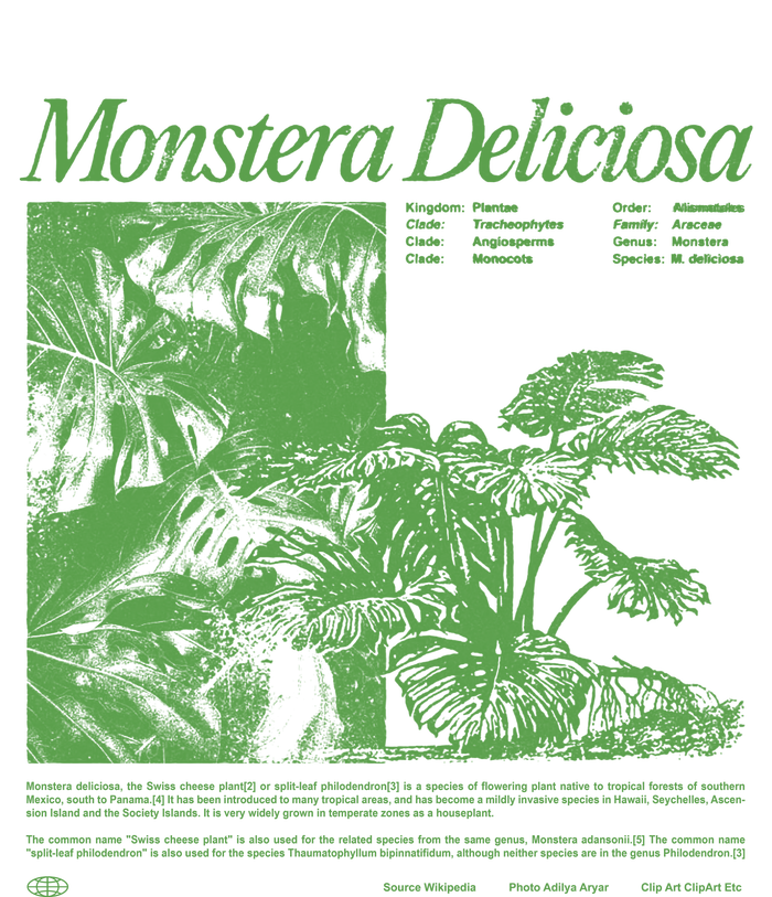 Monstera Deliciosa Premium Crewneck Sweatshirt