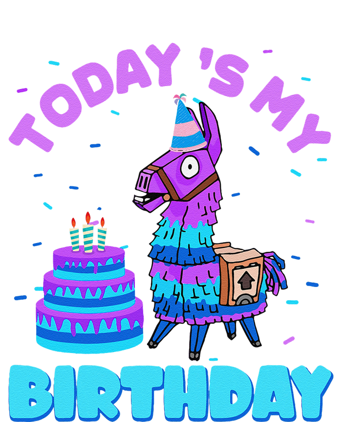 Todays My Birthday Llama Boy Family Party Decorations Tall Long Sleeve T-Shirt