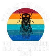 Year Of The Cicada Double Emergence Brood Xiii Brood Xix 2024 Tall T-Shirt