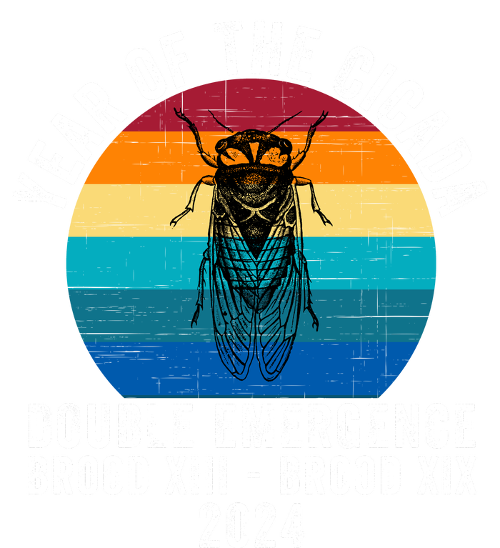 Year Of The Cicada Double Emergence Brood Xiii Brood Xix 2024 Tall T-Shirt