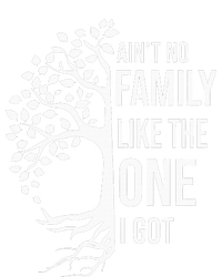 AinT No Family Like The One I Got T-Shirt